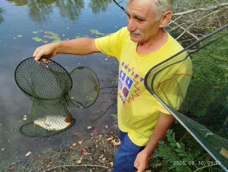 kiss_kaszlo_2025.08.30..jpg