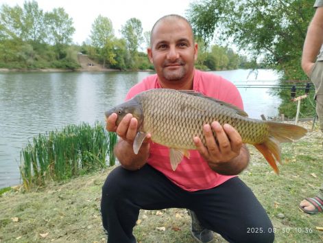 mursa_tamas_2025.08.30..jpg
